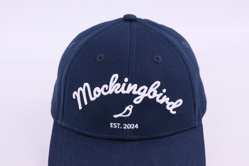 Classic Blue Cap