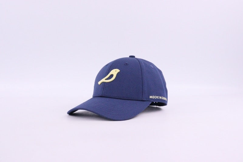 Legacy Cap