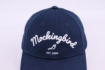 Classic Blue Cap